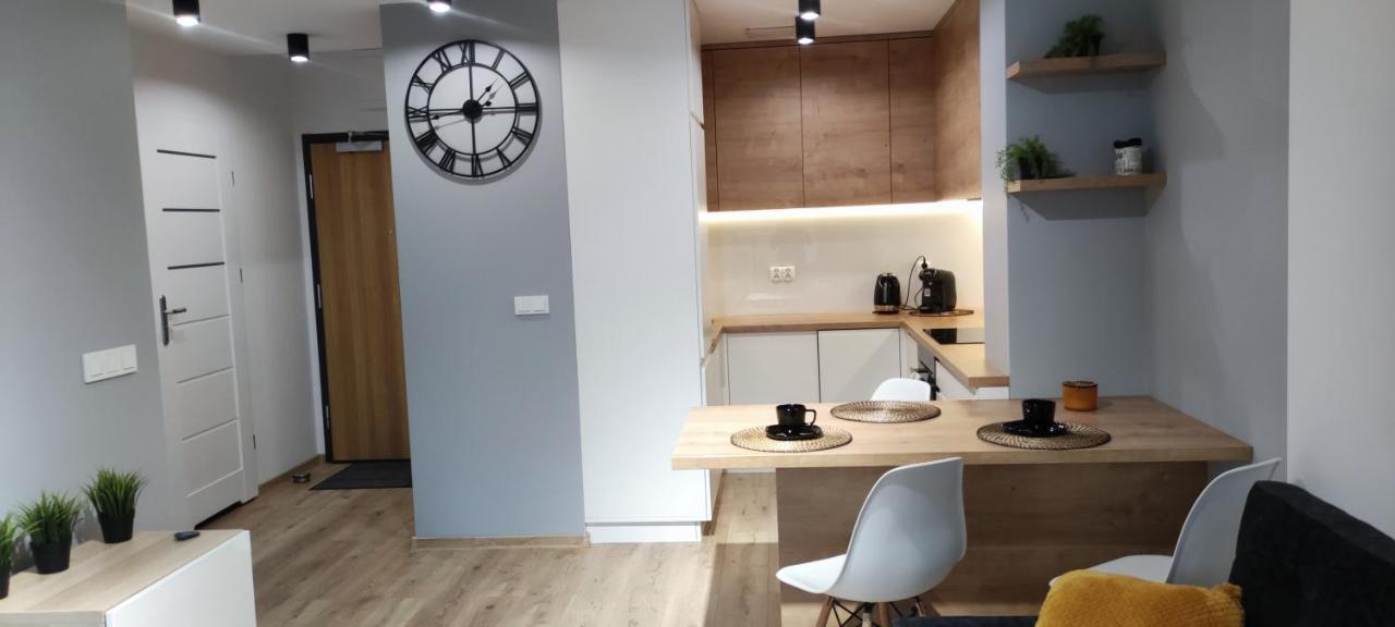 Apartament Przy Fabrycznym Лодзь Экстерьер фото